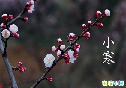 河南汽车维修平台APP
