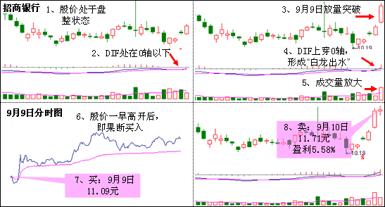 mysql数据库