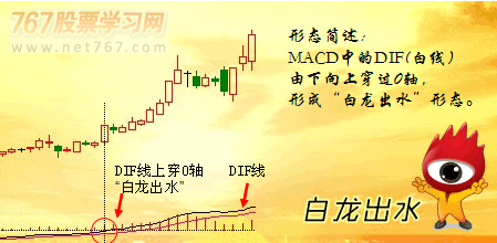 猫先生appV8.9专业版