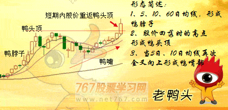 35彩票appV7.1专业版