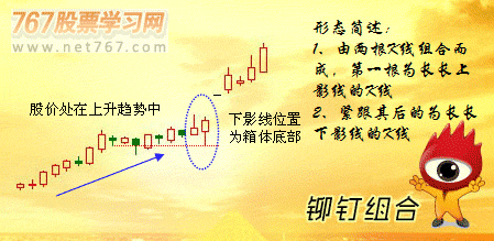 博鱼中国体育入口V9.1专业版