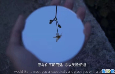小熊洗车APP