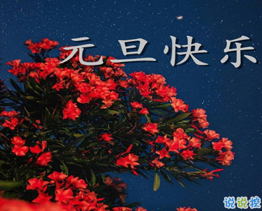 四季娱乐app2025最新版游戏主界面与角色展示