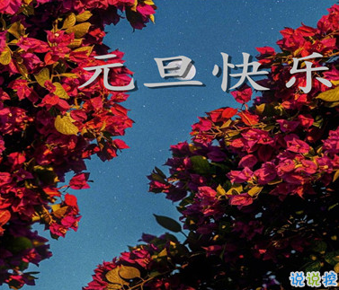 AI RoboForm pro(网页填表工具)