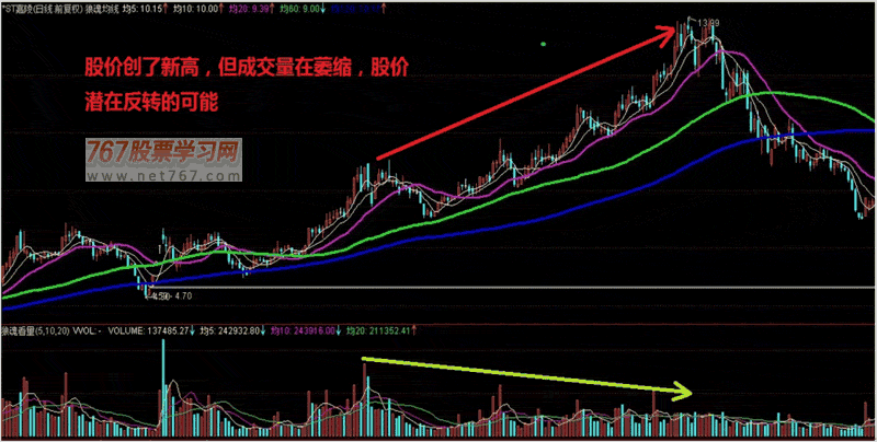 爱趣appV5.9专业版