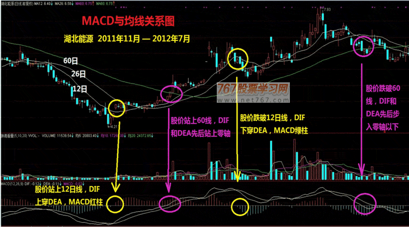 唯彩会app安卓版二维码