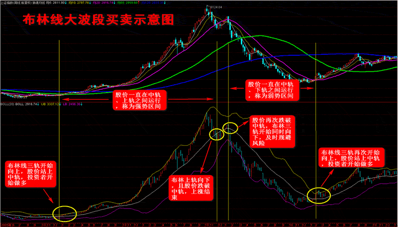 贵州药材APP