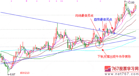 智博19192025最新版新区域永恒冰冠