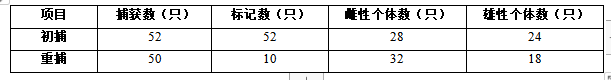 河南汽车维修平台APP