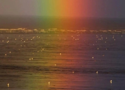 sg飞艇appV2.2专业版