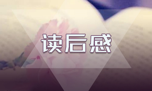 全讯app