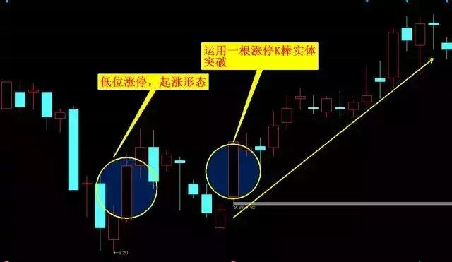 贵州药材APP