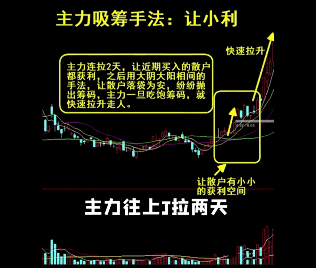 6886appV1.9专业版