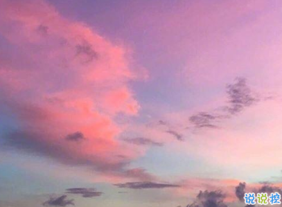 b8b8体育appV5.9专业版