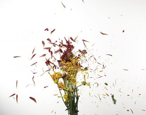 乐发彩票app