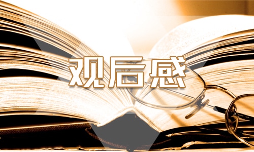 亿贝平台官网V9.9专业版