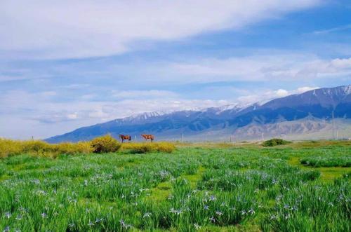 anybizsoft pdf converter修改版