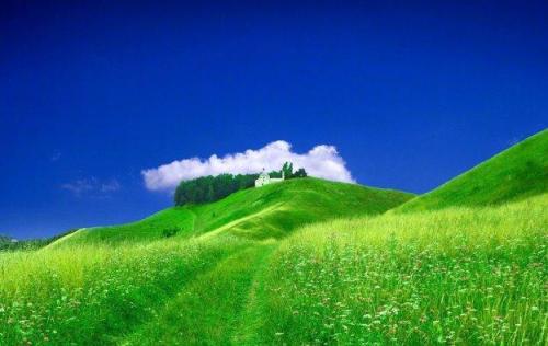 sa36沙龙国际登录