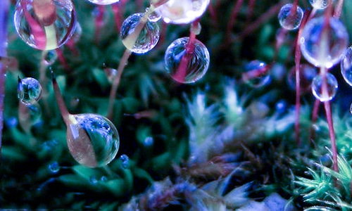 河南汽车维修平台APP