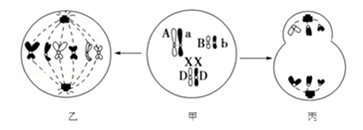 河南汽车维修平台APP