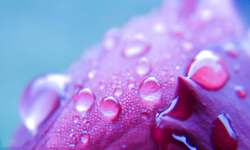 kaiyun体育app官网登录地址V9.6专业版