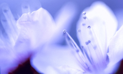 坦克世界内存优化工具(wot booster)