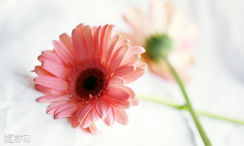 快盈500彩APP 2025最新版 开放世界山地景观