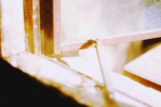 HQ体育app安卓版二维码