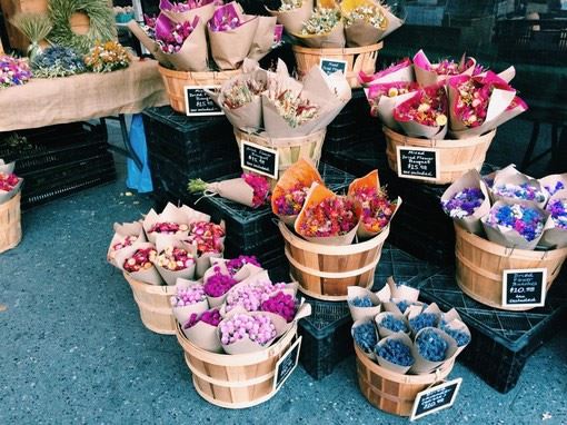 好运彩网页版V1.9专业版