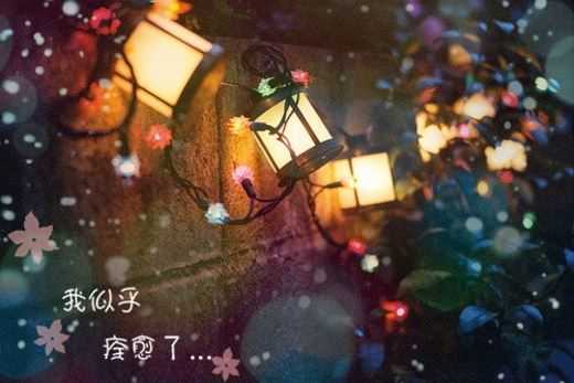 绿鹰pc万能精灵