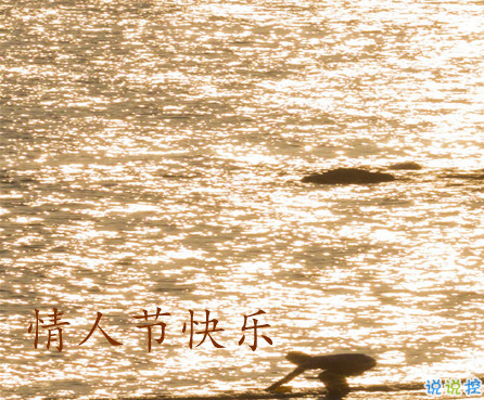 ABG欧博百家乐2025最新版PVE副本战斗画面