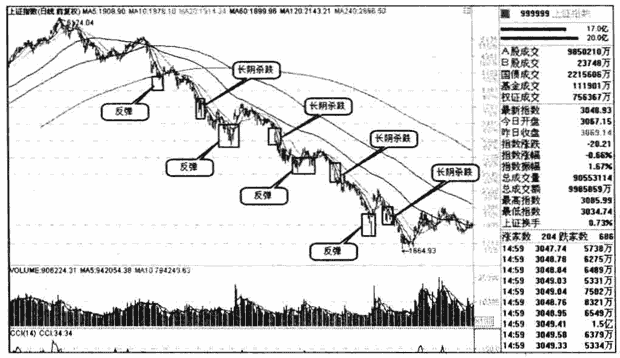 7979888appV6.9专业版