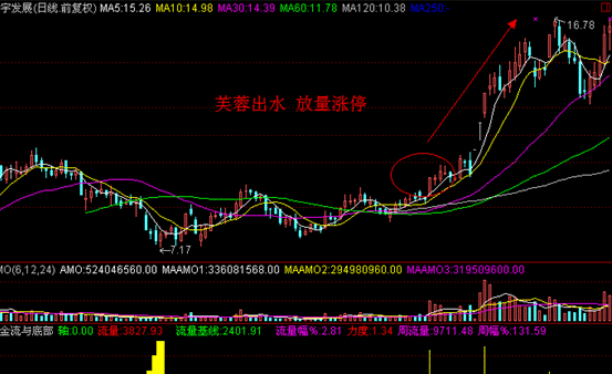 bestv百视通NBA直播