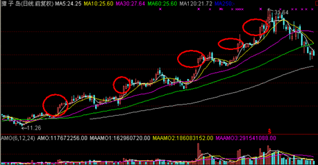 开云在线官方网站V3.3专业版