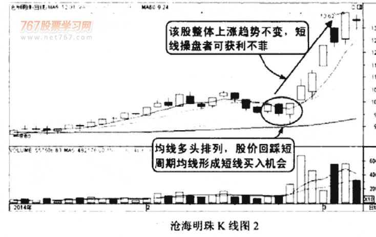 开云app网站登录V4.9专业版