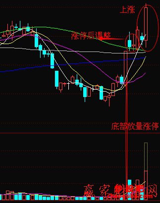 3830226玩彩网appV2.2专业版