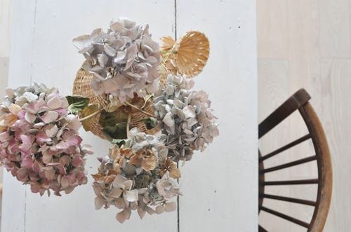 威尼斯人appV3.8专业版