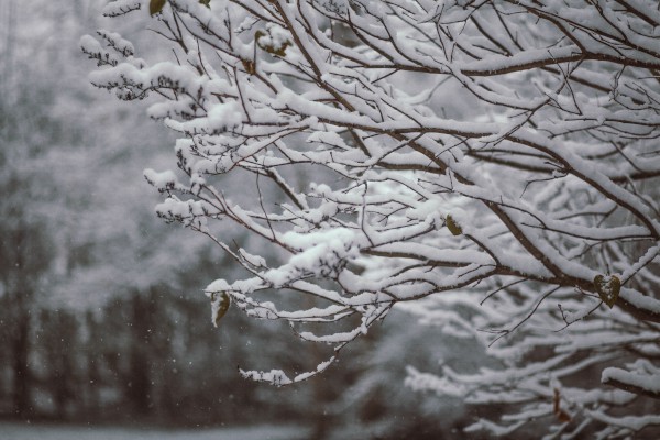 JNTY江南体育网页版安卓版二维码