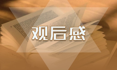开云app网站登录V4.9专业版