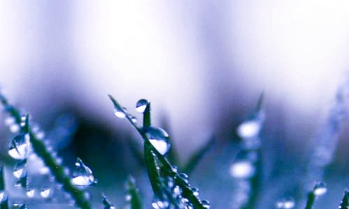 kaiyun体育app官网下载安卓版2025最新版战斗场景截图