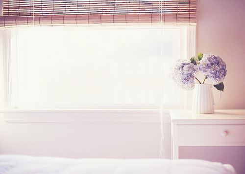 Axialis IconWorkshop修改版