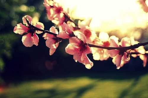 加拿大28神测网app