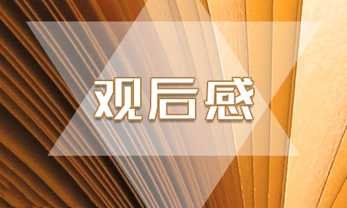 eman安卓版