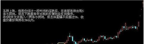 旺财28appV1.6专业版