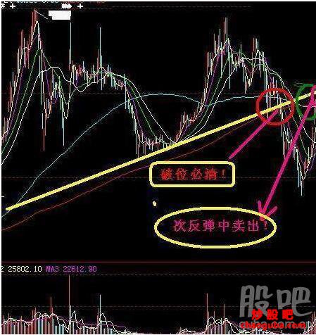 贵州药材APP