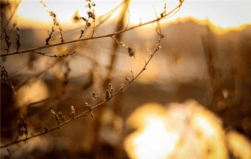 ebetapp2025最新版系统界面概览