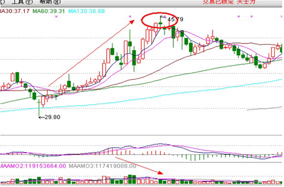 红桃app安卓版二维码