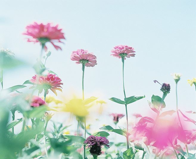 贵州药材APP