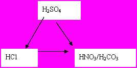 3377体育appV8.1专业版