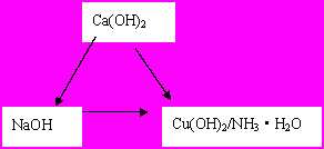 竞彩最新版下载V2.9专业版